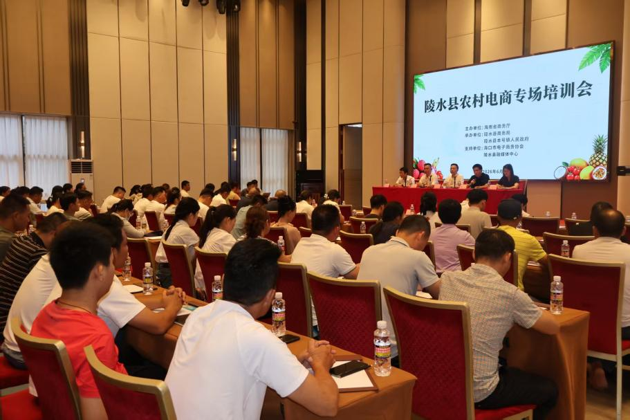精准电商赋能  助力陵水农品拓销